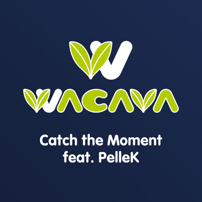 シングル/Catch the Moment feat. PelleK/WACAVA