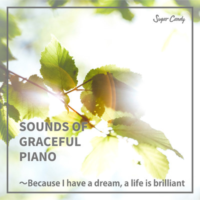 SOUNDS OF GRACEFUL PIANO 〜Because I have a dream, a life is brilliant/Chill Cafe Beats
