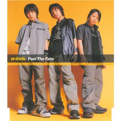 Feel The Fate-Instrumental-/w-inds.