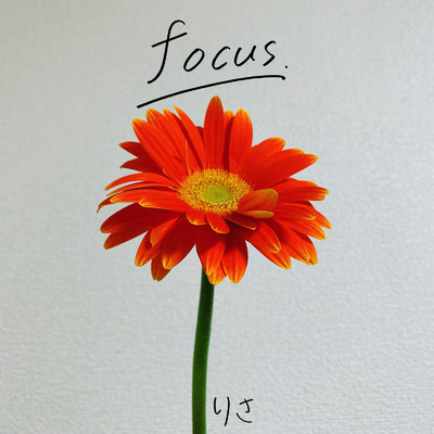 focus/りさ