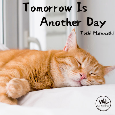 アルバム/Tomorrow Is Another Day/Toshi Maruhashi