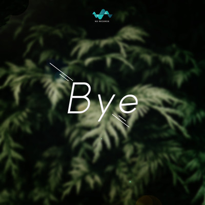 Bye/NS Records