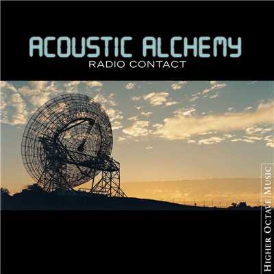 シングル/Venus Morena/Acoustic Alchemy