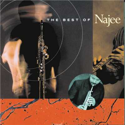 For The Love Of You/Najee