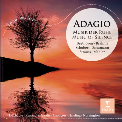 シングル/Piano Sonata No. 8 in C Minor, Op. 13 ”Pathetique”: II. Adagio cantabile/フランソワ=ルネ・デュシャーブル