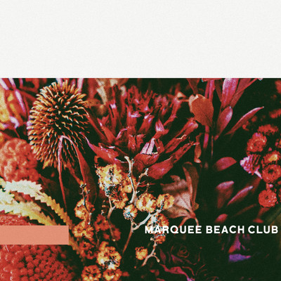 アルバム/acoustic follow(EP)/MARQUEE BEACH CLUB
