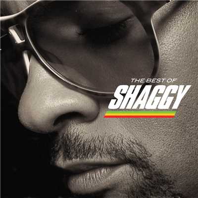 The Best Of Shaggy/シャギー