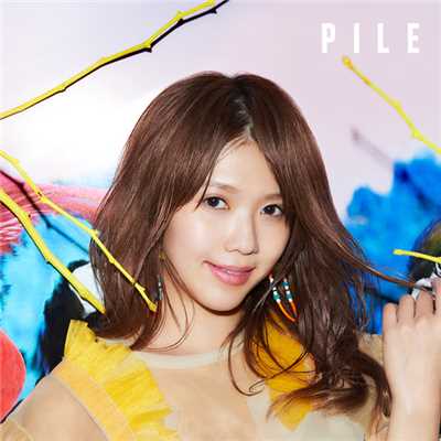 アルバム/PILE/Pile