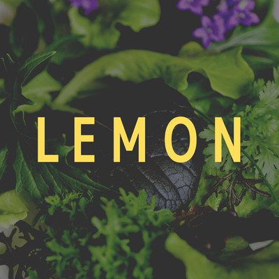 アルバム/Lemon/Home Cafe