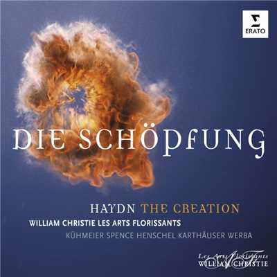 アルバム/Haydn: Die Schopfung/Les Arts Florissants & William Christie