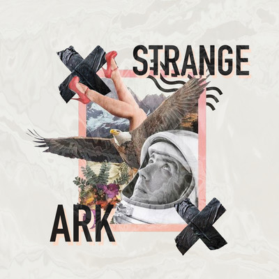 アルバム/Strange/Ark