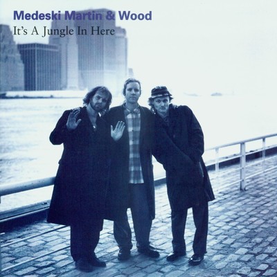 シングル/Wiggly's Way/Medeski, Martin & Wood