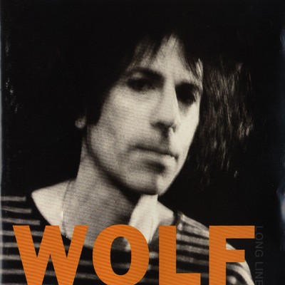 Wastin' Time/Peter Wolf