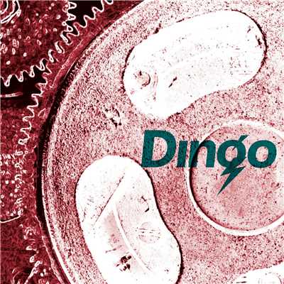 アルバム/DINGO/DINGO