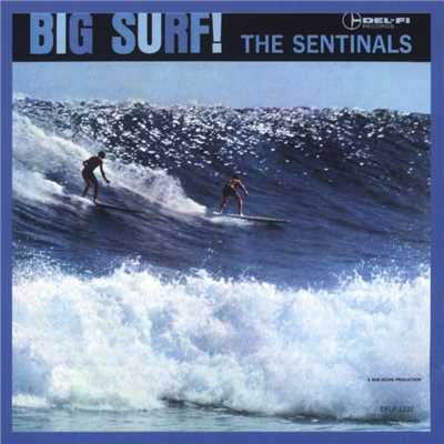 シングル/Surfin' Tragedy/The Sentinals
