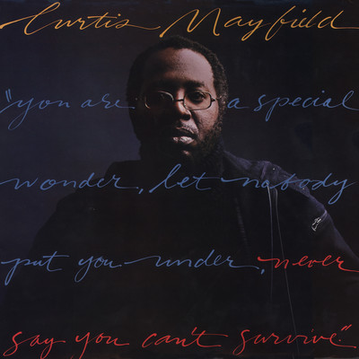 アルバム/Never Say You Can't Survive/Curtis Mayfield