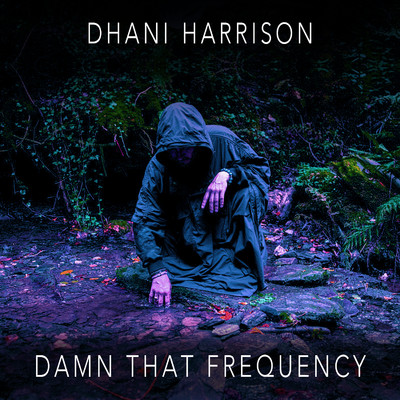 シングル/Damn That Frequency/Dhani Harrison