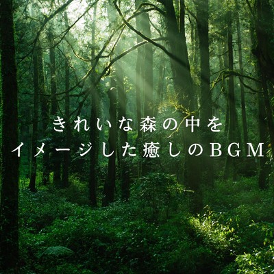 アルバム/きれいな森の中をイメージした癒しのBGM/Relaxing BGM Project