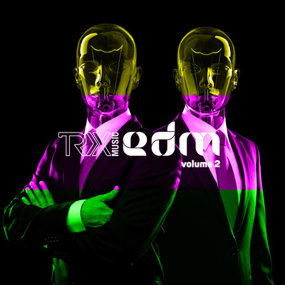 アルバム/TRX EDM, Vol. 2/DJ TRX