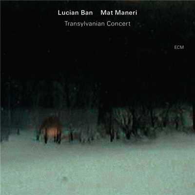 Lucian Ban／Mat Maneri