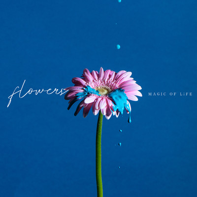 シングル/Flowers song/MAGIC OF LiFE