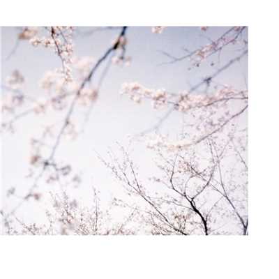 春の光、夏の風 (Piano Version) [映画『ハルチカ』より]/小瀬村晶