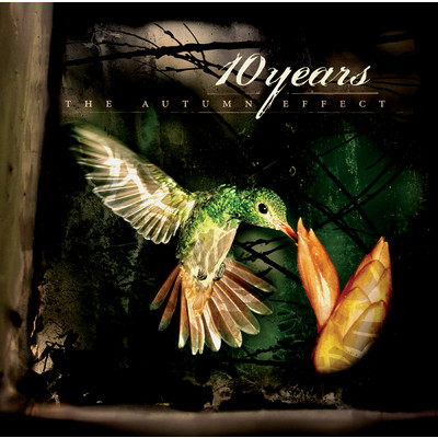 シングル/Insects (Album Version)/10 YEARS