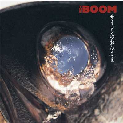 シングル/ダーリン/THE BOOM