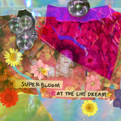 アルバム/SUPERBLOOM at the Live Dream/MisterWives