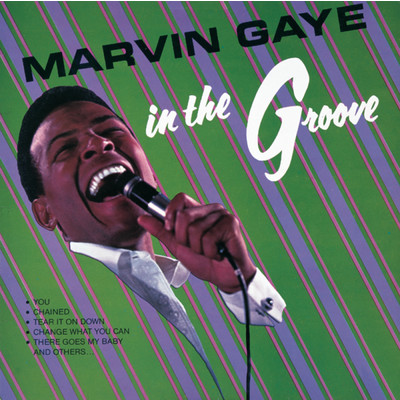 In The Groove/Marvin Gaye
