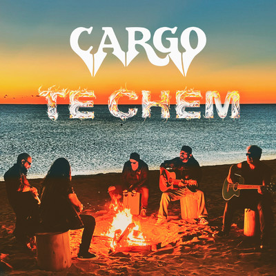 シングル/Te chem/Cargo