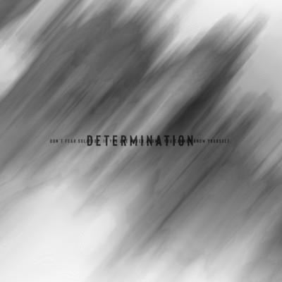 DETERMINATION/VELDE