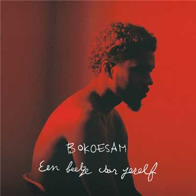 アルバム/Een Beetje Voor Jezelf (Explicit)/Bokoesam