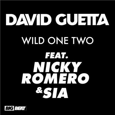 Wild One Two (feat. Nicky Romero and Sia) [Disfunktion Remix]/David Guetta