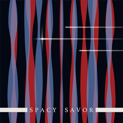 アルバム/SPACY SAVOR/SATOCI ENOMOTION