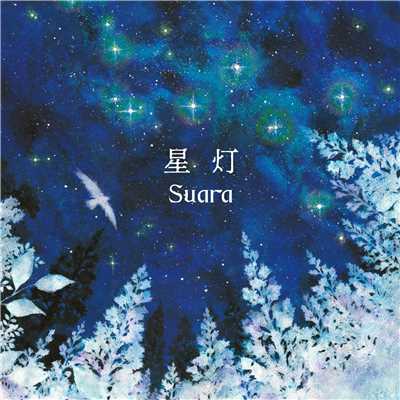 アルバム/星灯/Suara
