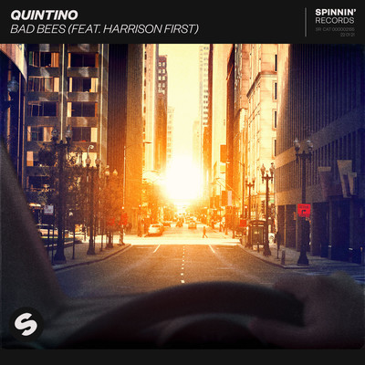 Bad Bees (feat. Harrison First)/Quintino