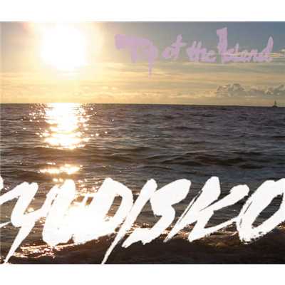 アルバム/Top of the Island/RYUKYUDISKO