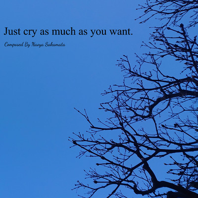 シングル/Just cry as much as you want./Naoya Sakamata