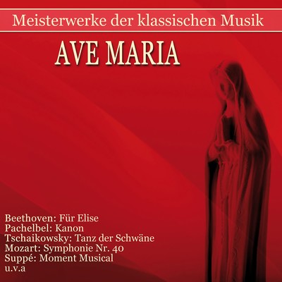 Ave Maria (arr. for Chamber Orchestra)/Budapesti Vonosok Kamarazenekar