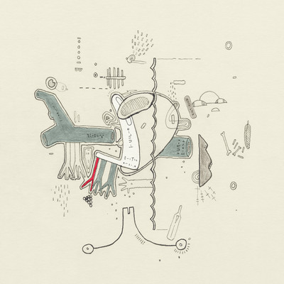 Tiny Changes: A Celebration of Frightened Rabbit's 'The Midnight Organ Fight'/Various Artists