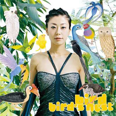 アルバム/bird's nest/bird