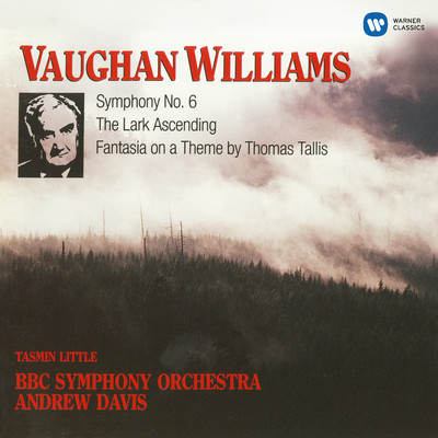 アルバム/Vaughan Williams: Symphony No. 6, The Lark Ascending, Fantasia On A Theme By Thomas Tallis/アンドリュー・デイヴィス