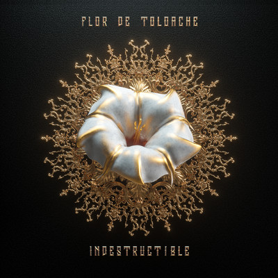 シングル/Indestructible/Flor De Toloache