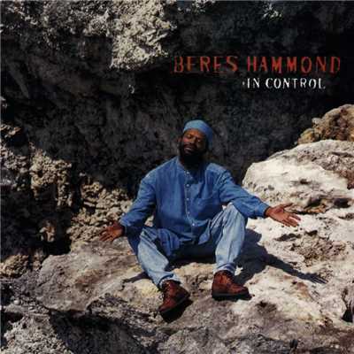 アルバム/In Control/Beres Hammond