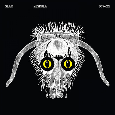 アルバム/Vespula/Slam