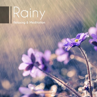 アルバム/Rainy Relaxing & Meditation -雨の音で自然を感じるヒーリングBGM-/ALL BGM CHANNEL