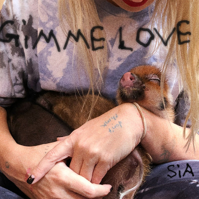 シングル/Gimme Love/Sia