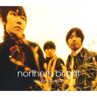 アルバム/WILDFLOWER/northern bright