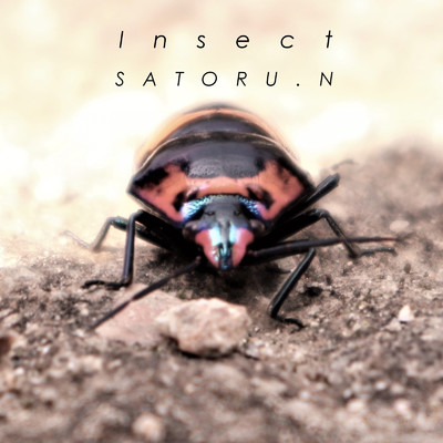 アルバム/Insect/SATORU.N